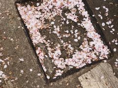-上海南浦大桥长途旅游客运站