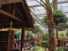 -南宫五洲植物乐园