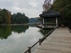 -千岛湖东南湖区