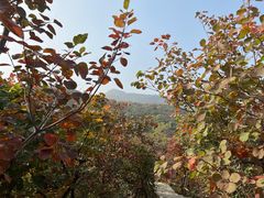 -周口店坡峰岭风景区