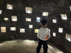 -广东中医药博物馆