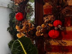 -自由生长植物工作室(深港花卉中心店)