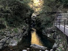 -大奇山国家森林公园
