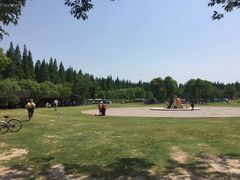 -东平国家森林公园