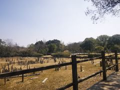 -河姆渡遗址博物馆