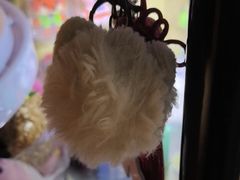 -谜盒子奇幻密室(南屏店)