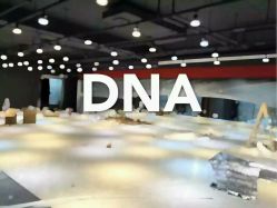 -DNA舞室
