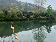 -黄陂区野村谷景区