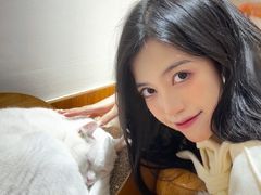 -有猫主题·治愈系猫咖(曾厝垵店)