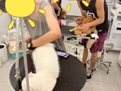 -comecome来吧宠物(奥克斯中心店)