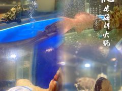 -德米火锅(深圳湾1号旗舰店)