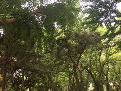 -玲珑塔公园