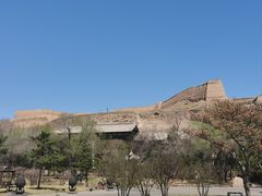 -帅府街兔头(大同古城店)