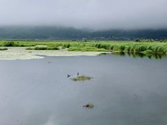 -腾冲北海湿地