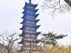 -上海方塔园
