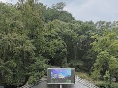 -素山寺森林公园