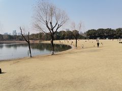-黄兴公园