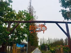 -前小桔亲子创意农场·草莓采摘·露营烧烤