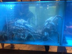 -金悦轩海鲜酒家(银河店)