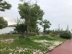 -苏州湾体育公园