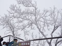 -紫金山山顶公园