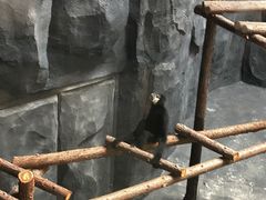 -武汉动物园
