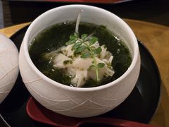 -琵琶湖绿水亭温泉酒店