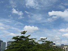 -天河沃尔玛