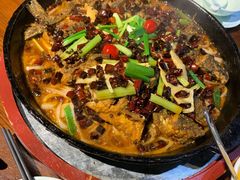 -老板恋上鱼(高新万达店)