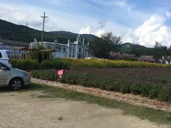 -玫瑰海岸文化旅游度假区