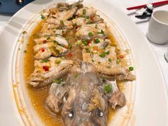 百合蒸东坡鱼-眉州东坡(北苑华贸店)