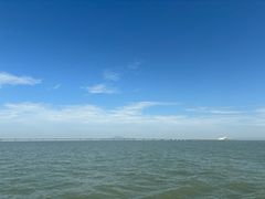 -招商蛇口邮轮母港(观光客运)