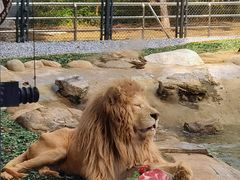 -北京野生动物园