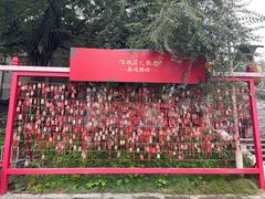 -鸿恩陶然大观园