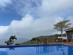 -三亚亚龙湾人间天堂鸟巢度假村