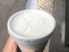 -洪馨椰子