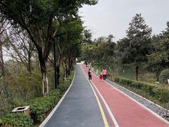 -大渡口区义渡公园