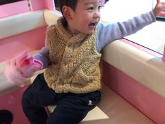 -武汉光谷K11