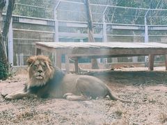 -昆明动物园