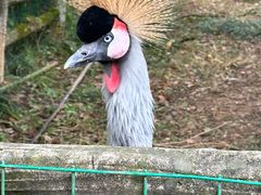 -杭州野生动物世界