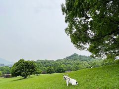 -浙江科技大学(小和山校区)
