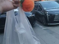 -亿牌牌东北烧烤(博物馆旗舰店)