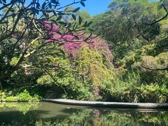 -燕晗山郊野公园