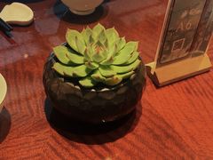 -湘湖逍遥庄园·水漾中餐厅