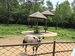 -大连森林动物园