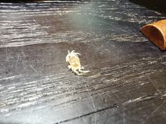 -万鱼亭·鹤家日本料理(南通青年中路店)