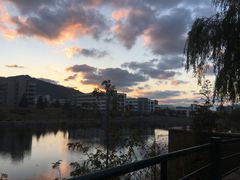 -青岛大学(金家岭校区)