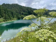 -武陵山森林公园