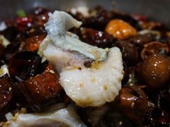 -万和源炝锅城·活鱼现炝(文艺北路店)