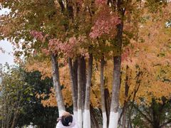 -盘龙城国家考古遗址公园